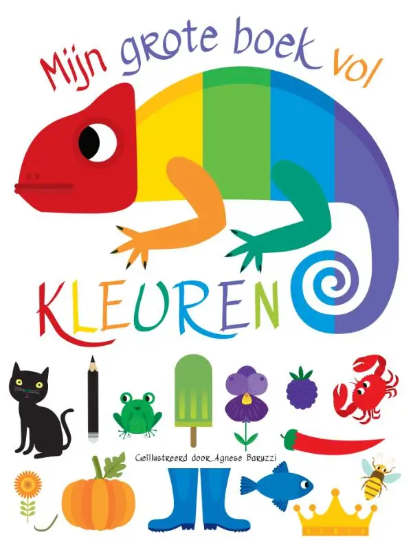 Mijn grote boek vol kleuren
