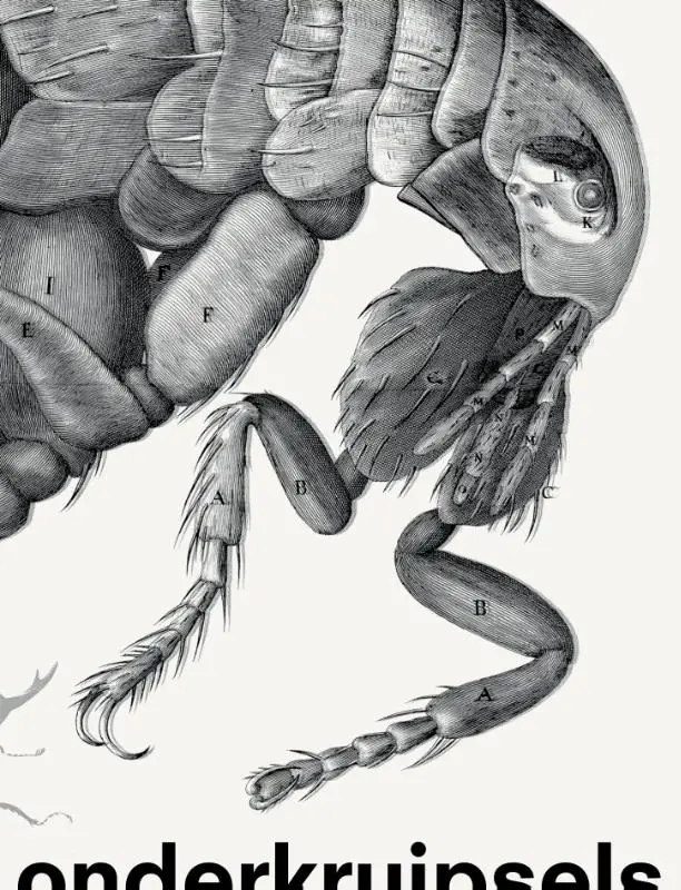 Onderkruipsels