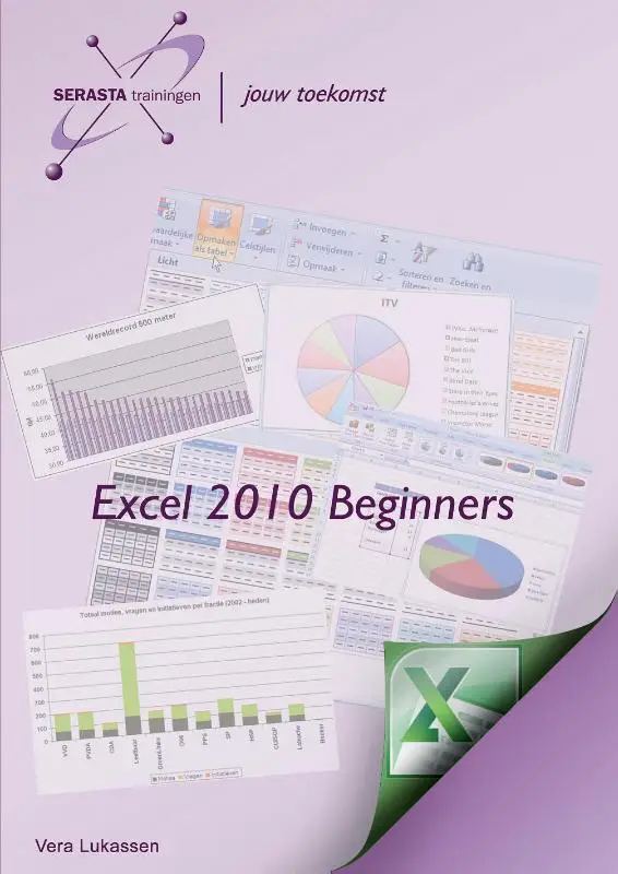 Excel 2010 / Beginners