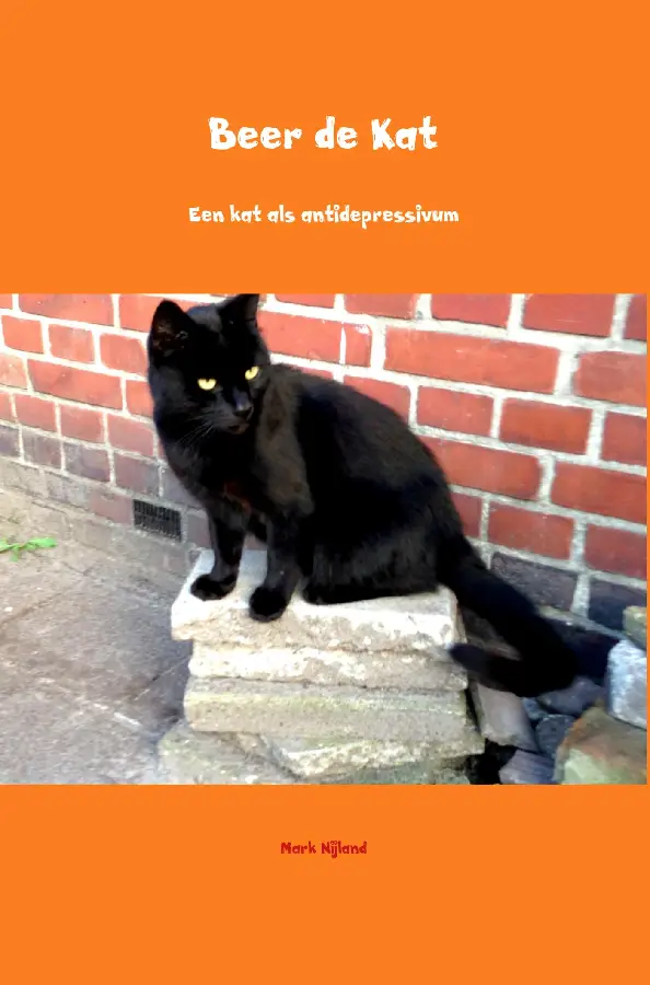 Beer de Kat