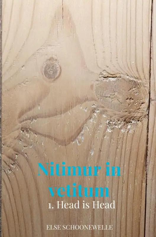 Nitimur in vetitum