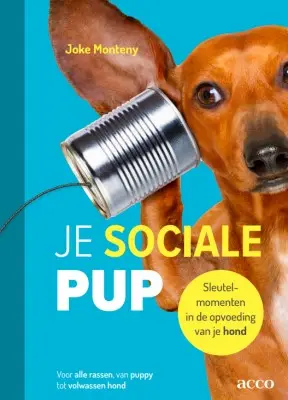 Je sociale pup