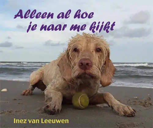 Alleen al hoe je naar me kijkt