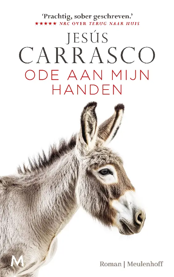 Ode aan mijn handen