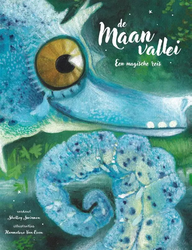 De maanvallei