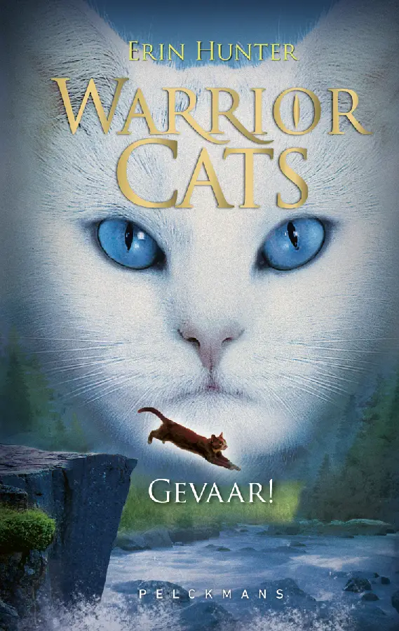 Gevaar