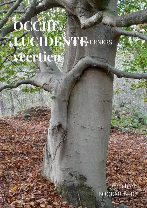 OCCHI LUCIDENTE