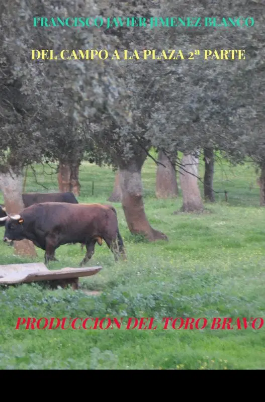 DEL CAMPO A LA PLAZA 2ª PARTE