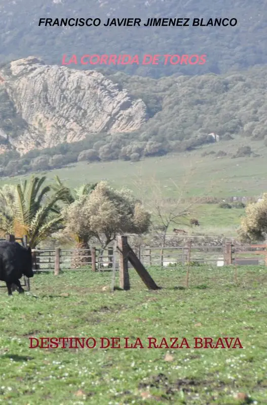 LA CORRIDA DE TOROS
