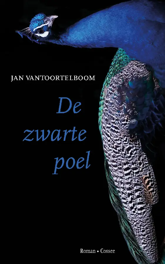 De zwarte poel