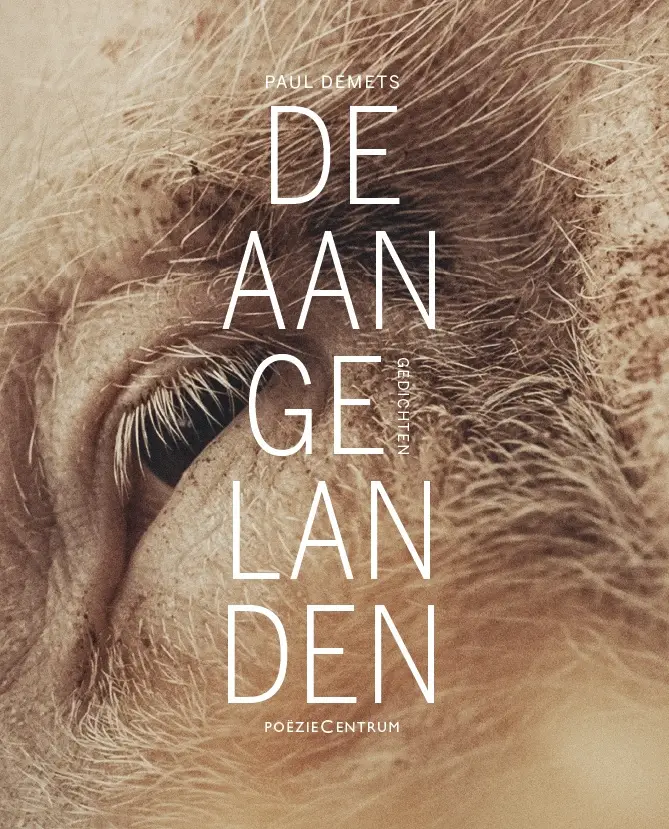 De aangelanden