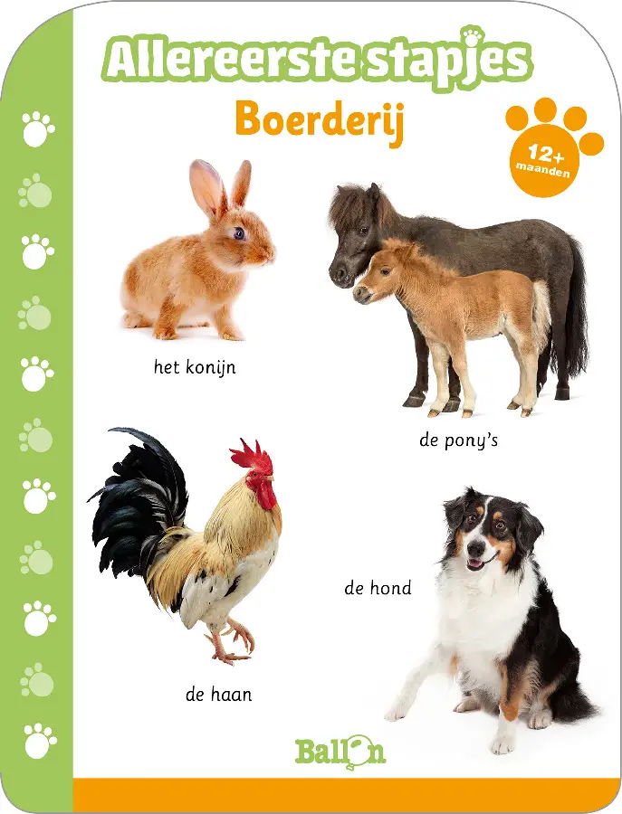 Boerderij konijn  1+