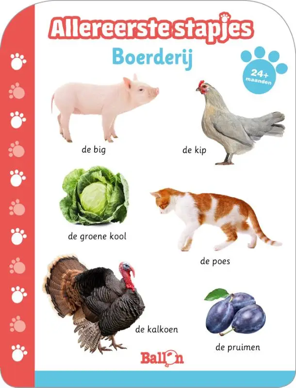 Boerderij varken  1+