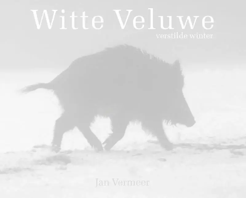 Witte Veluwe
