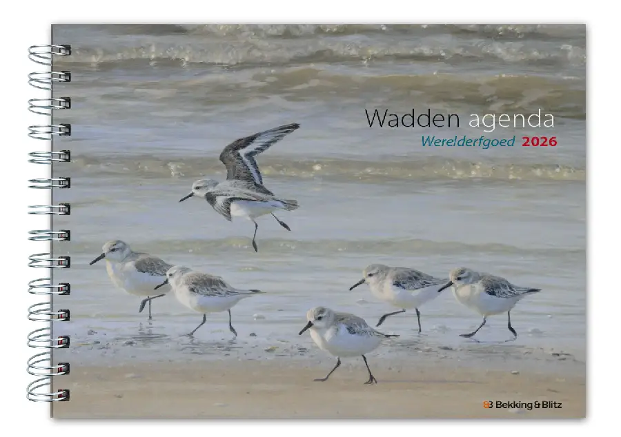 Wadden Werelderfgoed weekagenda 2026