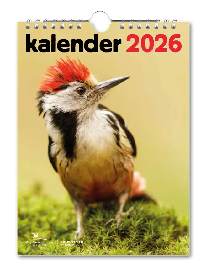 Vogelbescherming maandkalender 2026