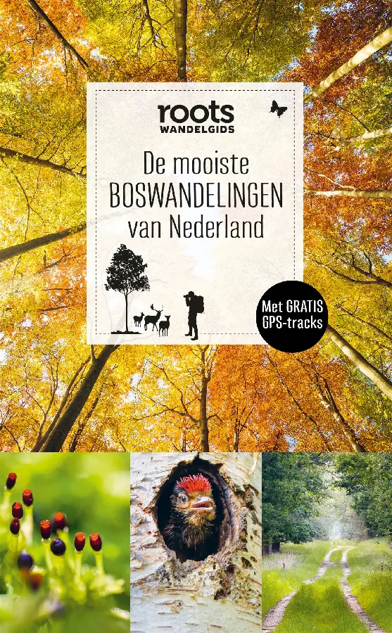 De mooiste boswandelingen van Nederland