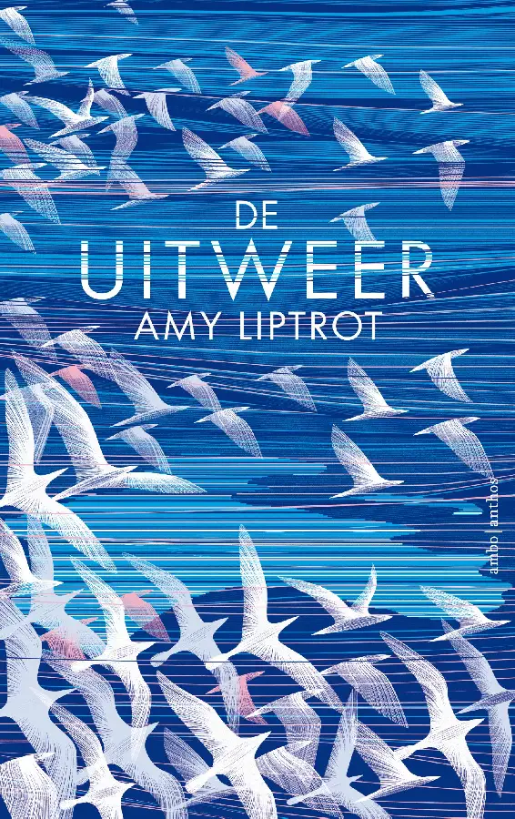 De uitweer