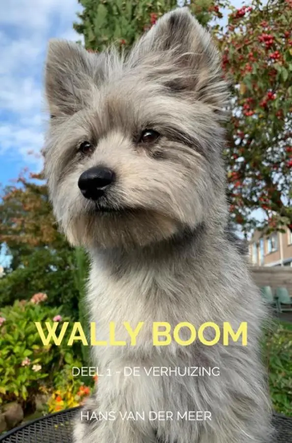 Wally Boom