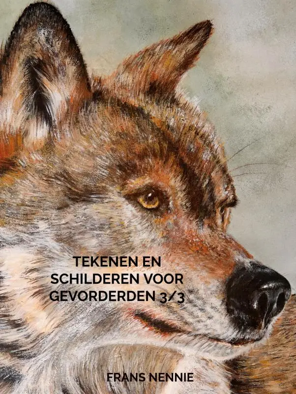 Tekenen en schilderen voor gevorderden 3/3