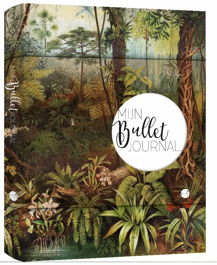 Mijn bullet journal regenwoud