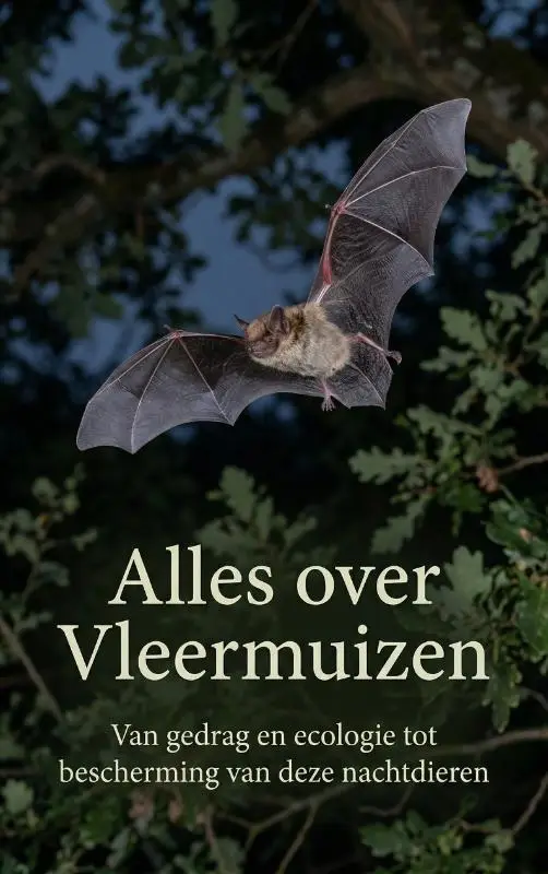 Alles over Vleermuizen