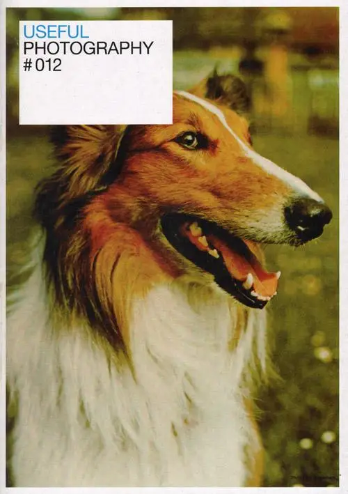 Useful photography / 12