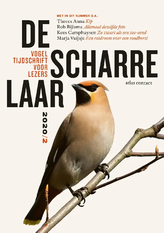 De scharrelaar - 2020/2