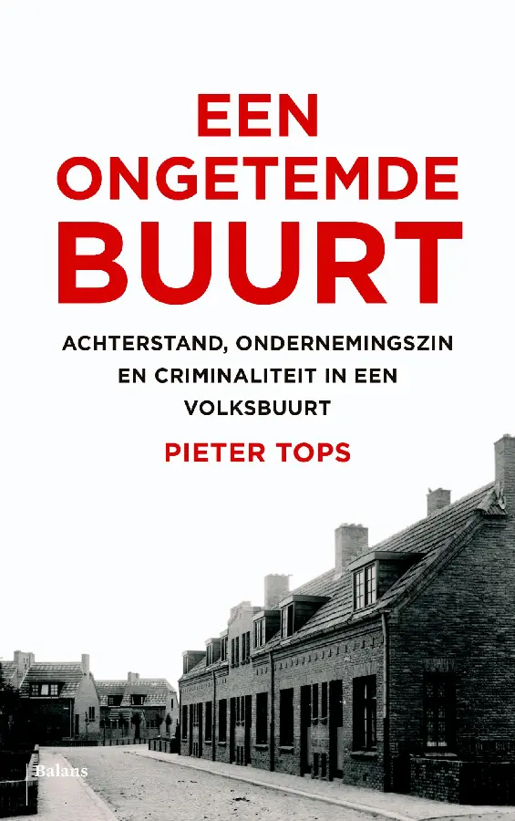 Een ongetemde buurt