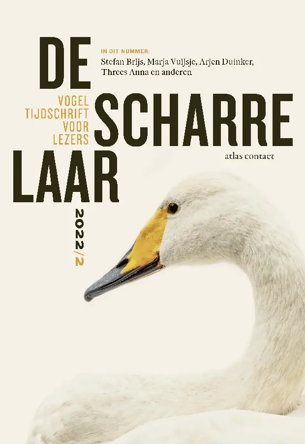 De scharrelaar / 2022/2