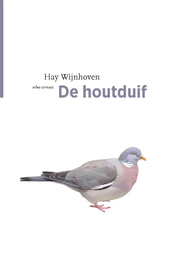 De houtduif
