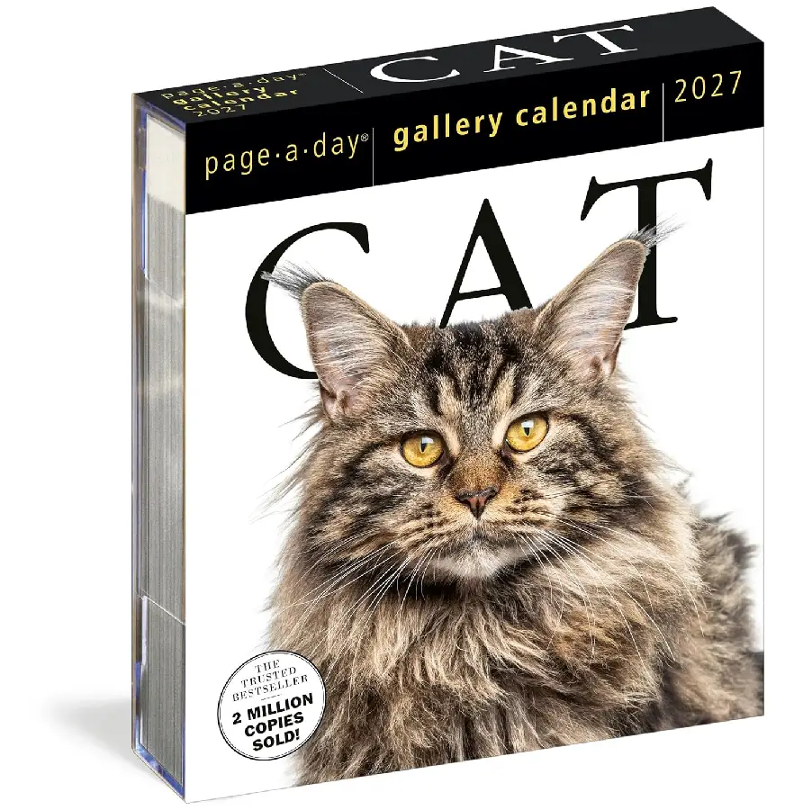 Cat Page-A-Day® Gallery Calendar 2027