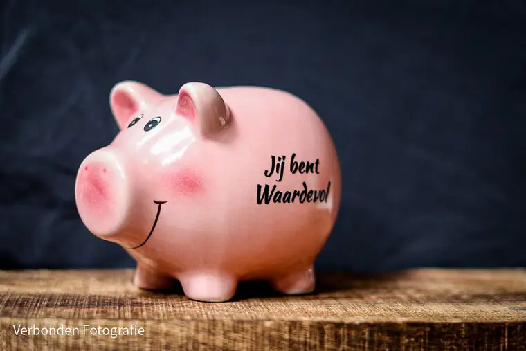 Spaarvarkentje Roze Jij bent waardevol