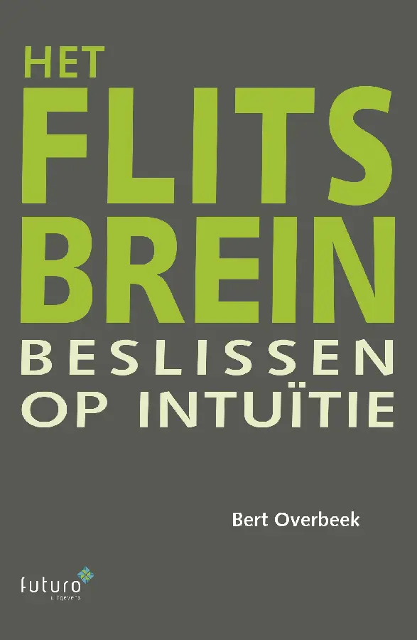 Het flitsbrein