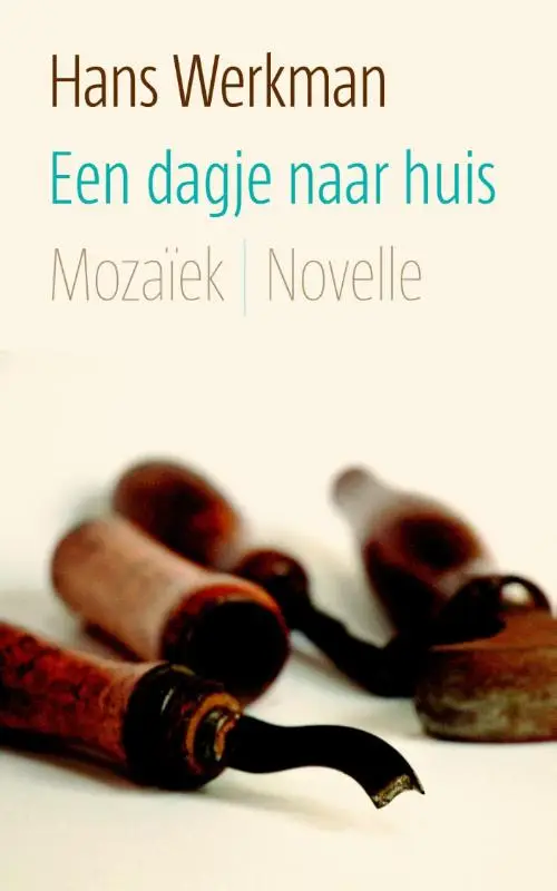 Een dagje naar huis