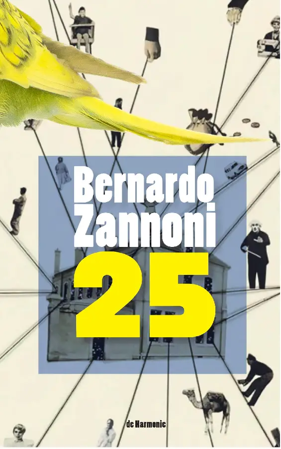 25