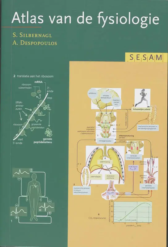 Sesam Atlas van de fysiologie