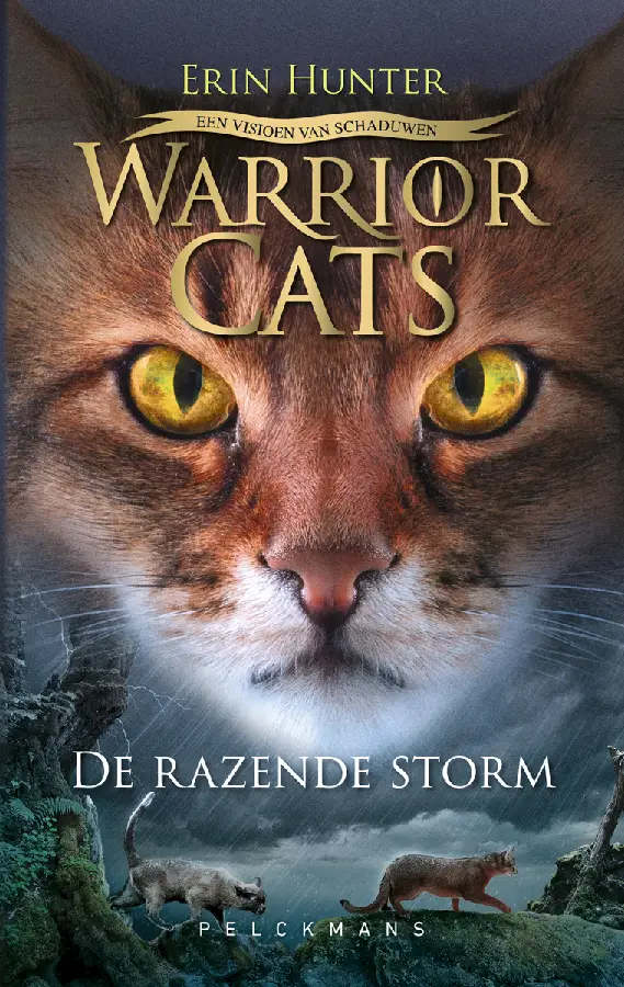 Een visioen van schaduwen: / De razende storm