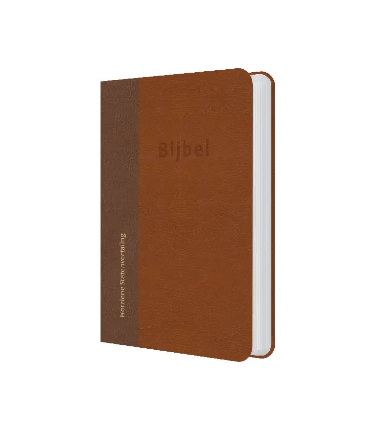 Bijbel HSV kunstleer bruin