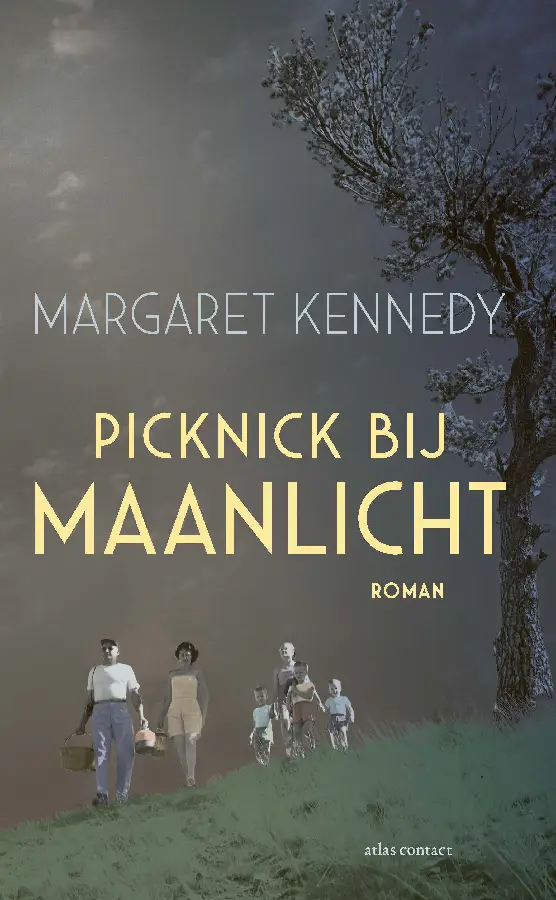 Picknick bij maanlicht