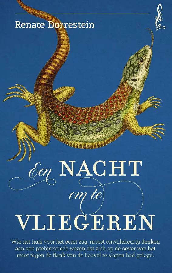Een nacht om te vliegeren