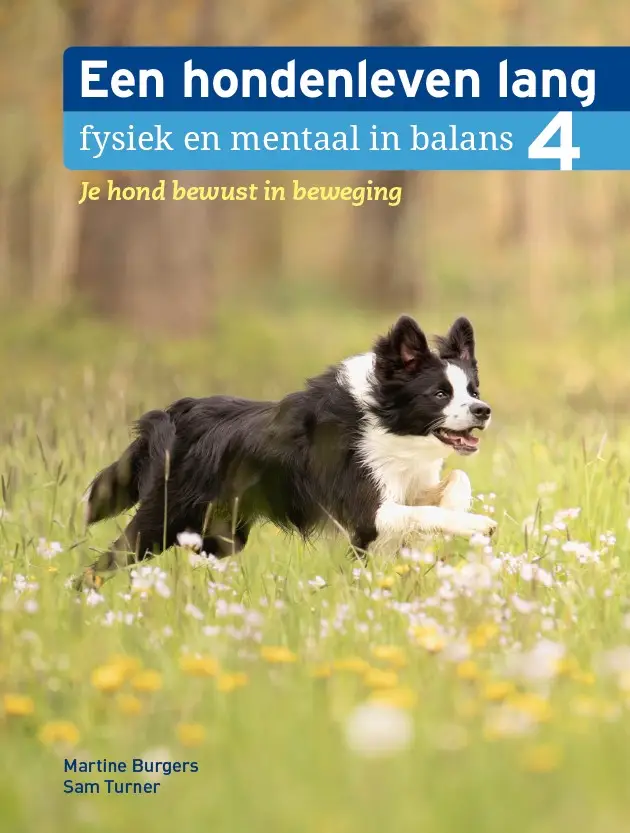 Je hond bewust in beweging