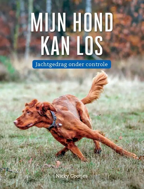 Mijn hond kan los