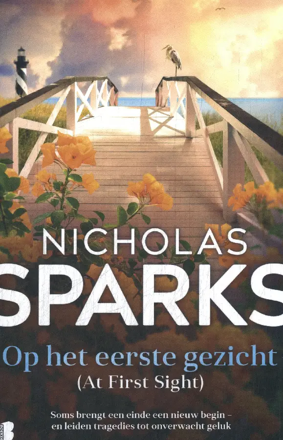 Op het eerste gezicht