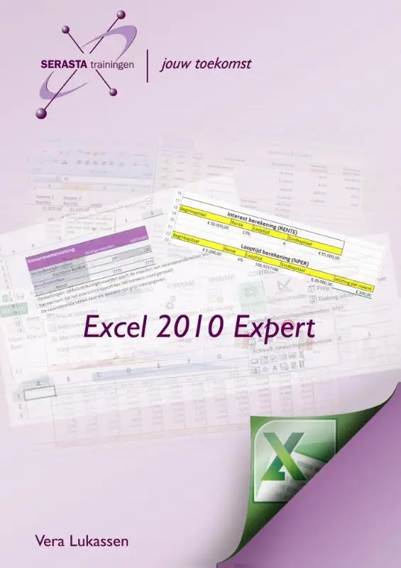 Excel 2010 / Expert