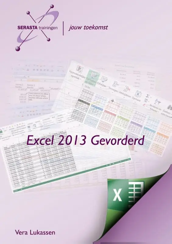 Excel 2013 / gevorderd