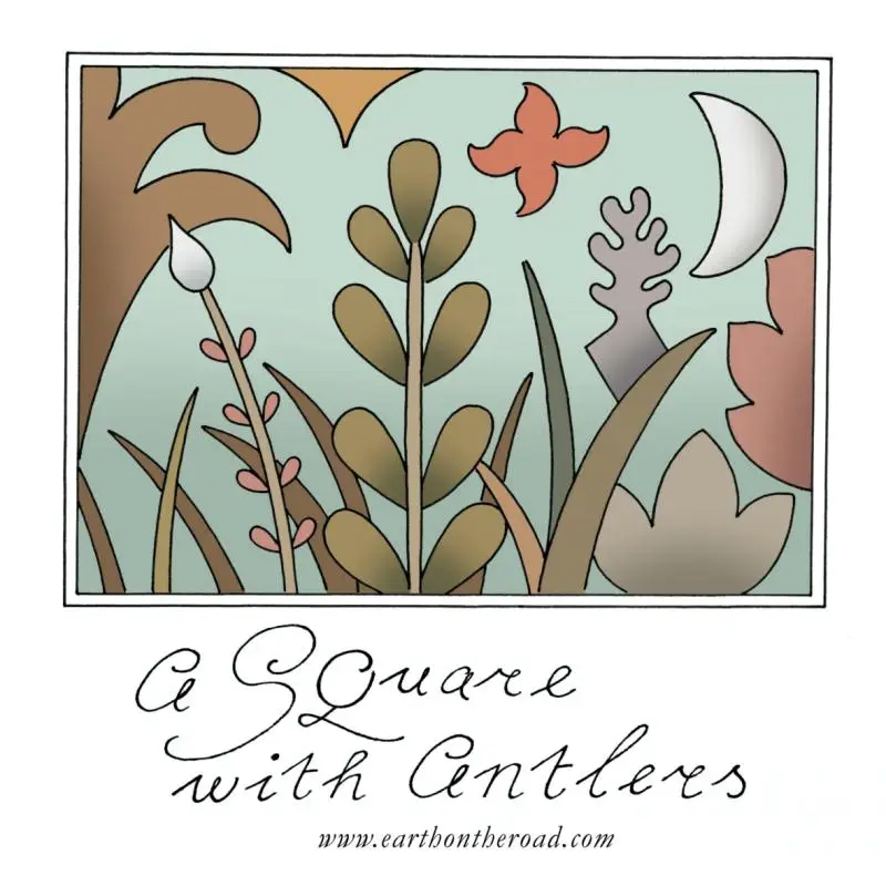A Square with Antlers