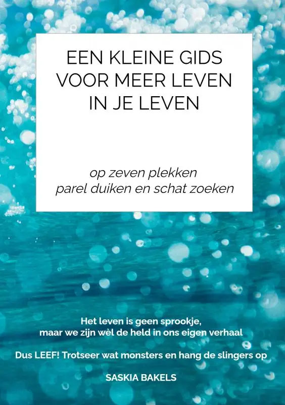 Een Kleine Gids VOOR MEER LEVEN IN JE LEVEN