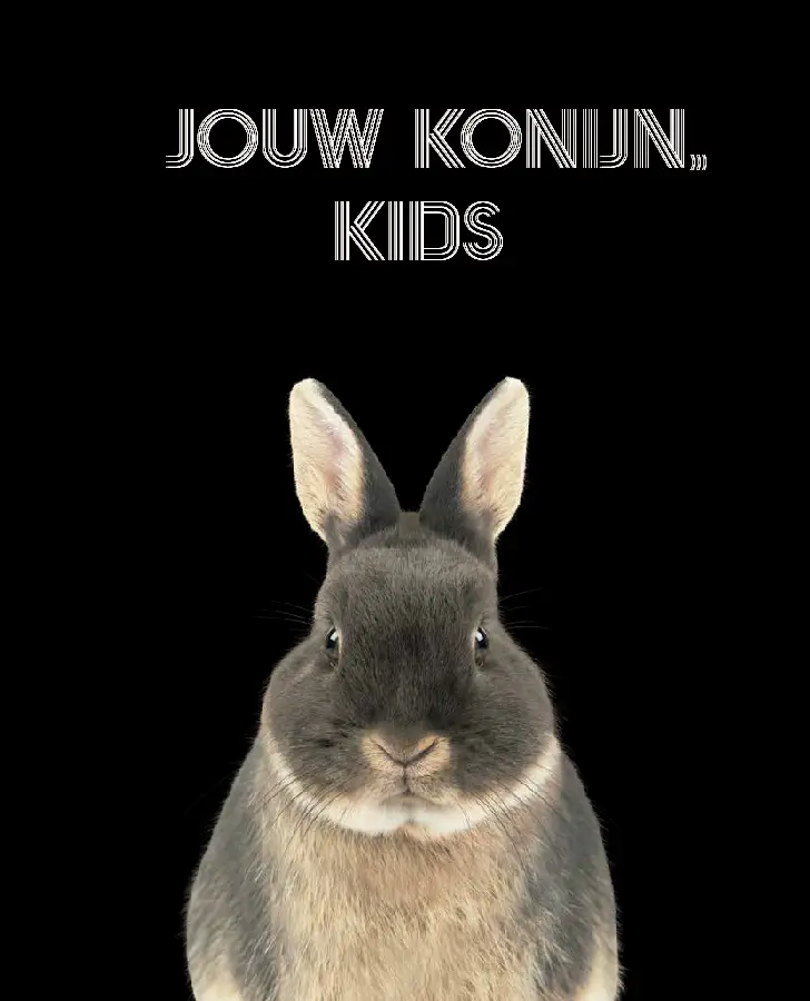 Jouw Konijn Kids