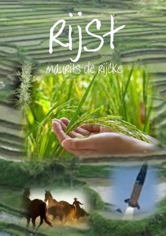 Rijst